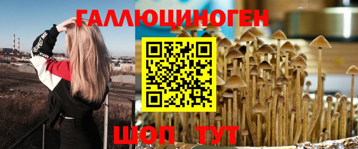 Галлюциногенные грибы Psilocybine cubensis Лангепас