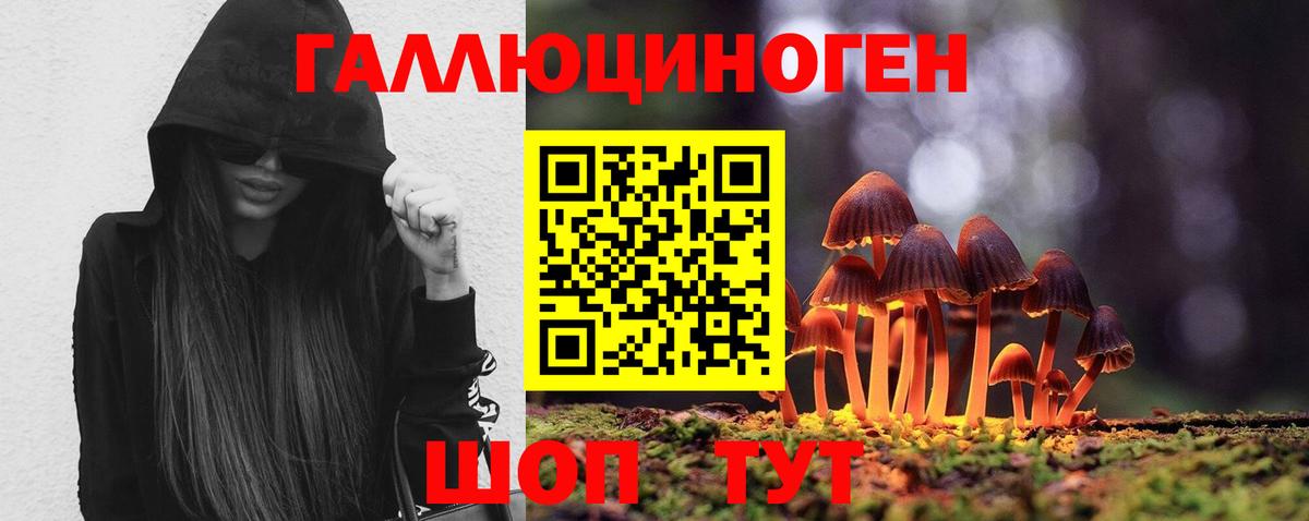 Лангепас  закладка  Вход с VPN  Галлюциногенные грибы Psilocybine cubensis  Галлюциногенные грибы мицелий 